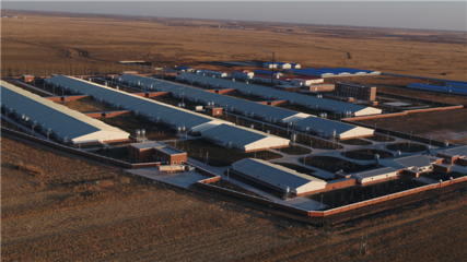 青岡構建產(chǎn)業(yè)扶貧&ldquo;2+N&rdquo;打造持續(xù)增收主力軍