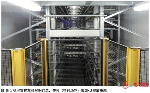 澳大利亞ncmc肉類加工廠提高公司競爭力的秘訣 自動化物流系統(tǒng)