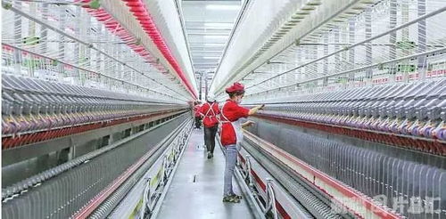 脫貧有底氣,增收有希望 新疆扎實(shí)推進(jìn)就業(yè)扶貧