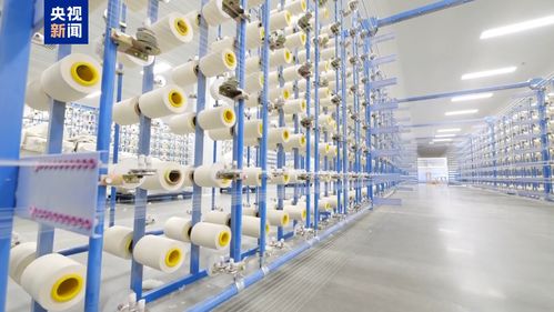 田間好 豐 光 新疆喀什700多萬畝棉花進(jìn)入采收期