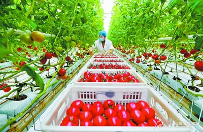 民營經(jīng)濟(jì) 千帆競發(fā)