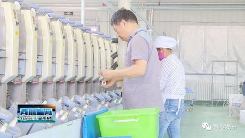 下馬關鎮(zhèn)三山井村扶貧車間開業(yè)了