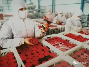 雞澤之約 攜手共創紡紗銷售新篇章