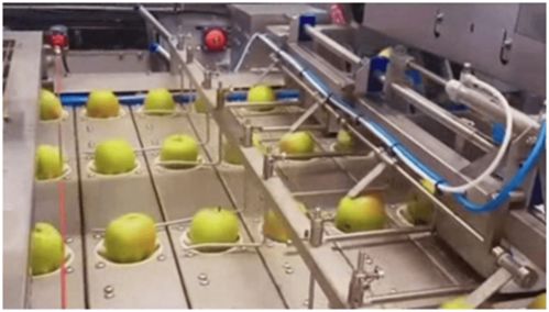 果蔬自動(dòng)加工生產(chǎn)線 順應(yīng)飲品市場消費(fèi)趨勢的創(chuàng)新印染加工技術(shù)