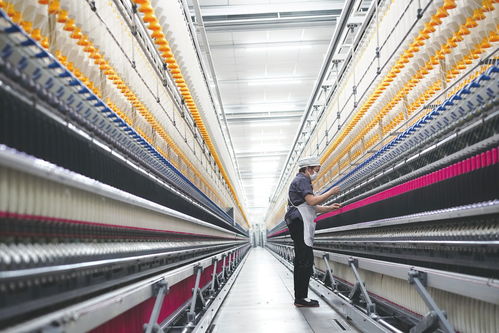 創(chuàng)新有道 大顯身手——民營經(jīng)濟(jì)高質(zhì)量發(fā)展觀察之一 紡紗加工